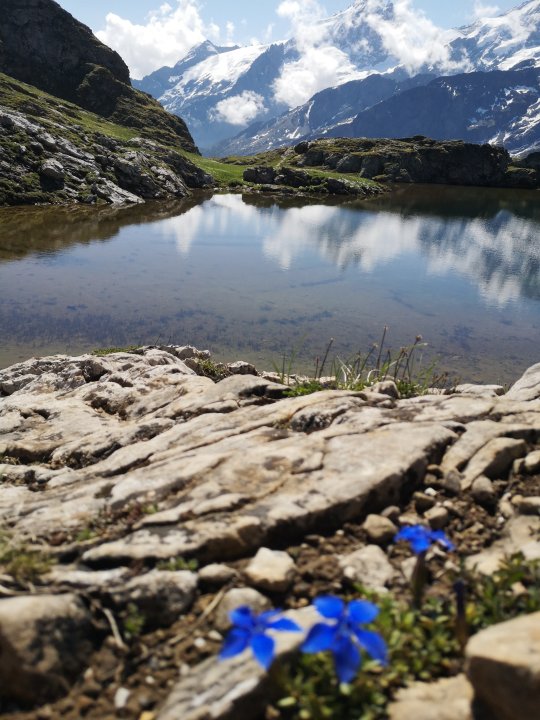 Beau lac bleu de trail