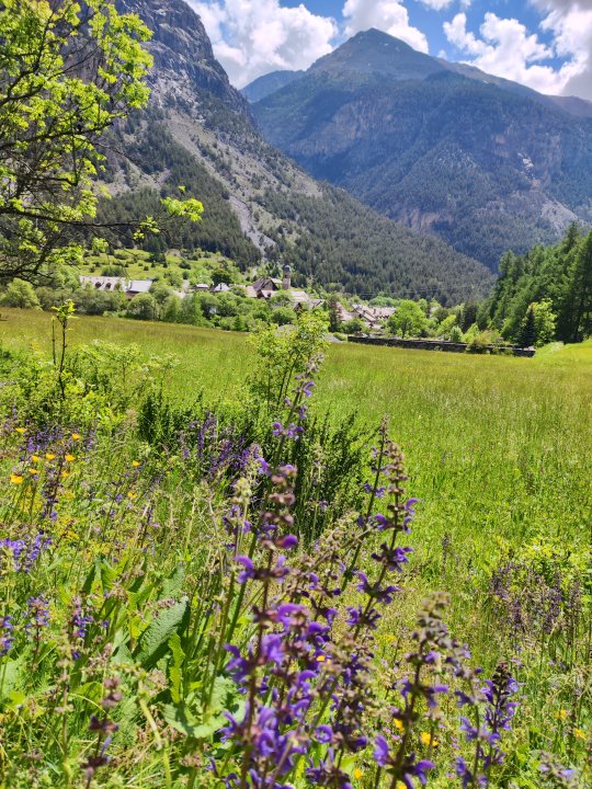 Vue sur une vallée de montagne fleurie au printemps depuis chemin de trail