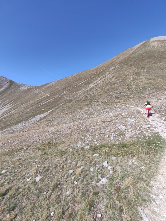 Vallon de trail 