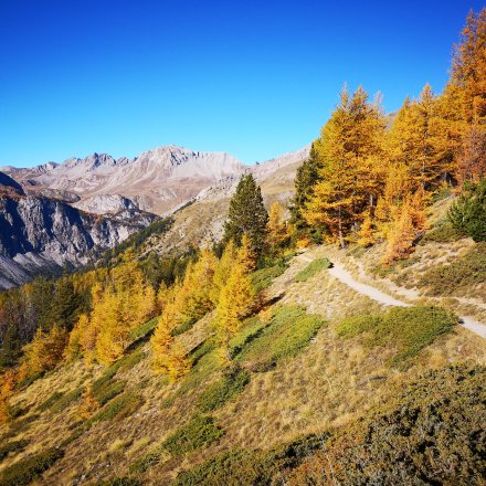 Grandiose le trail à l'automne