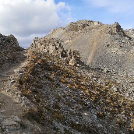 Chemin terreux de trail