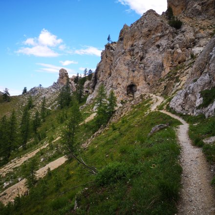 Single de trail