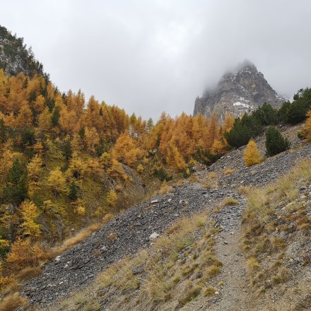 Col de trail à l'automne
