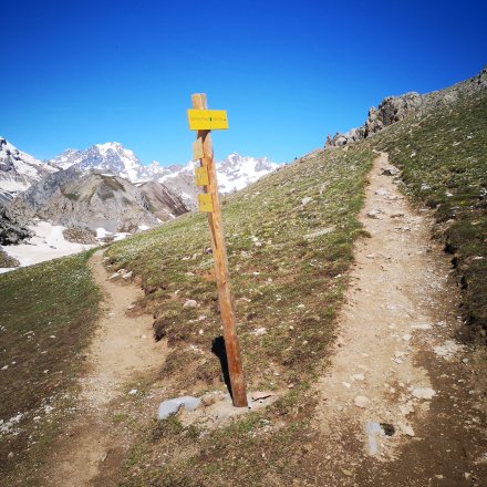Chemin de trail