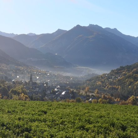 Vue de trail