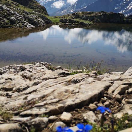 Beau lac bleu de trail