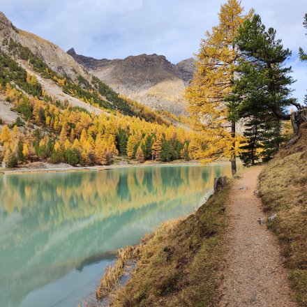 Chemin single de trail le long du lac de l'Orceyrette, à l'automne avec couleurs oranges et jaunes