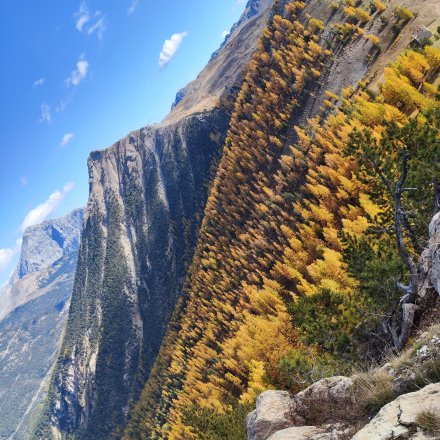 Vue colorée automne mélèzes trail Briançon