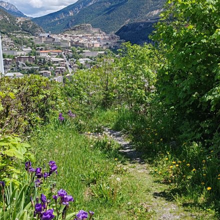 Paysage stage de trail Briançon Hélène