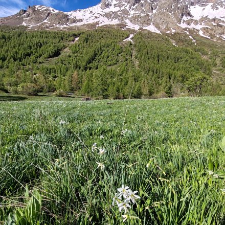 Paysage stage de trail Briançon Hélène