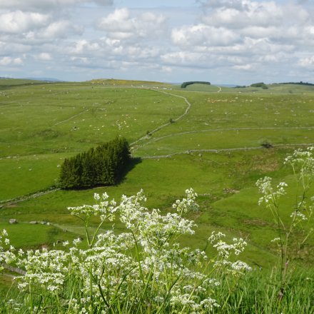 Vue sur l'Aubrac trail