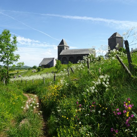 Aubrac trail